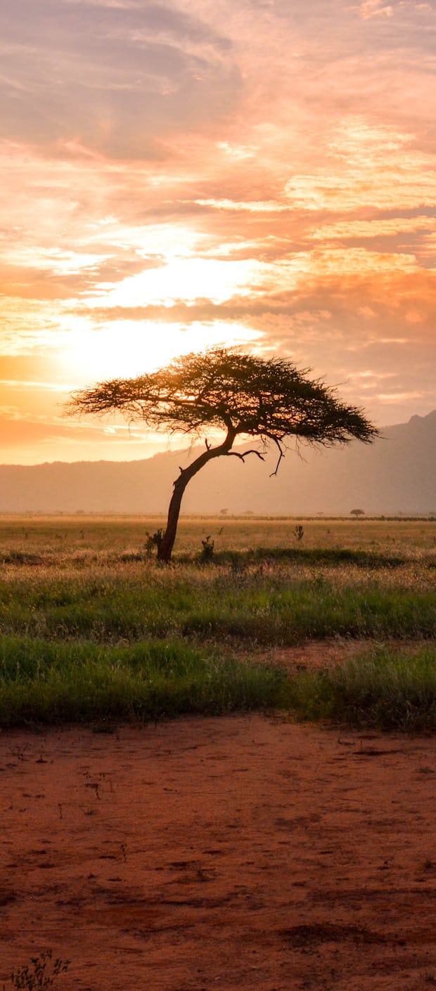 North Africa regional scenery